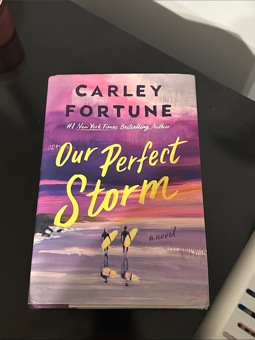 Our Perfect Storm - Carley Fortune Purple Cover Novel
